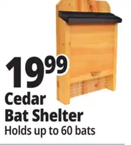 Ocean State Job Lot Cedar Bat Shelter offer