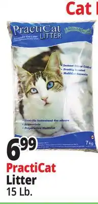 Ocean State Job Lot Premium Scoopable Cat Litter 15 lbs offer