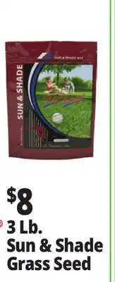 Ocean State Job Lot Sun & Shade Grass Seed offer