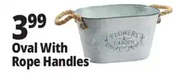 Ocean State Job Lot Galvanized Oval Planter with Rope Handles offer