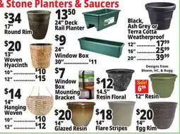 Ocean State Job Lot Planters offer