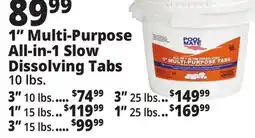 Ocean State Job Lot Pool Mate All-In-1 Slow-Dissolving 1 Multi-Purpose Tabs 10 lbs offer