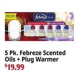 Ocean State Job Lot 5 Pk. Febreze Scented Oils + Plug Warmer offer