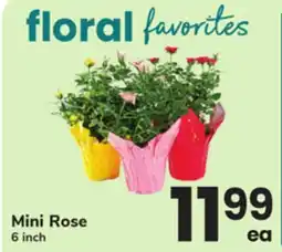 ACME Mini Rose offer