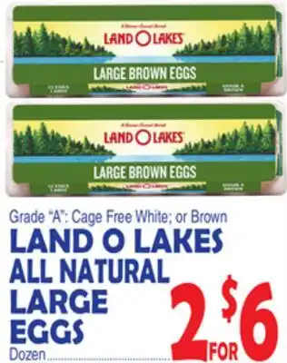 Bravo Supermarkets LAND O LAKES ALL NATURAL LARGE EGGS offer
