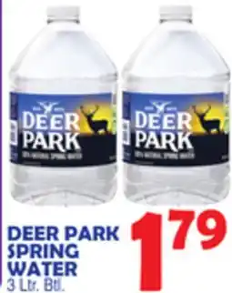 Bravo Supermarkets DEER PARK SPRING WATER offer