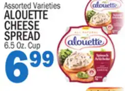 Bravo Supermarkets ALOUETTE CHEESE SPREAD offer
