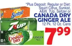 Bravo Supermarkets Squirt Citrus, Sunkist, A&W, 7Up, Seltzer or CANADA DRY GINGER ALE offer