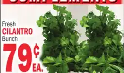 Bravo Supermarkets Fresh CILANTRO Bunch offer