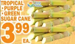 Bravo Supermarkets TROPICAL PURPLE GREEN SUGAR CANE offer