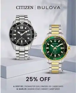 Boscov's PROMASTER DIVE offer