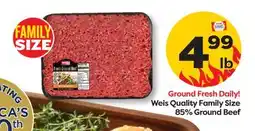 Weis Markets Weis Quality Family Size 85% Ground Beef offer