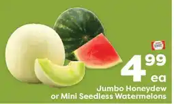 Weis Markets Jumbo Honeydew or Mini Seedless Watermelons offer