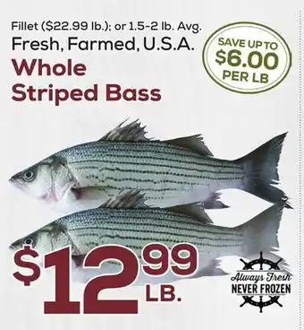 DeCicco & Sons Whole Striped Bass offer