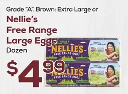 DeCicco & Sons Nellie's Free Range Large Eggs offer
