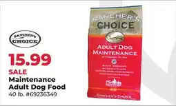 Runnings Maintenance Adult Dog Food offer
