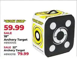 Runnings Black Hole 18 Archery Target offer