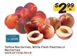Winn Dixie Yellow Nectarines, White Flesh Peaches or Nectarines offer