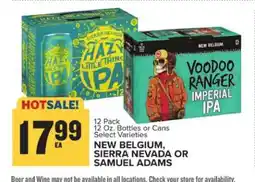 Food Lion NEW BELGIUM, SIERRA NEVADA OR SAMUEL ADAMS offer