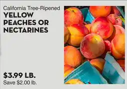 Bristol Farms California Tree-Ripened YELLOW PEACHES OR NECTARINES offer
