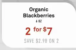Standard Market Organic Blackberries offer