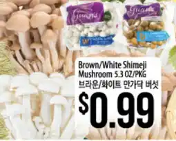 Hmart Brown/White Shimeji Mushroom offer