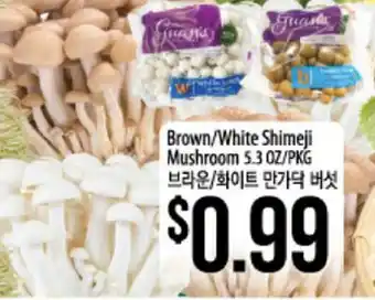 Hmart Brown/White Shimeji Mushroom offer