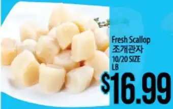 Hmart Fresh Scallop offer
