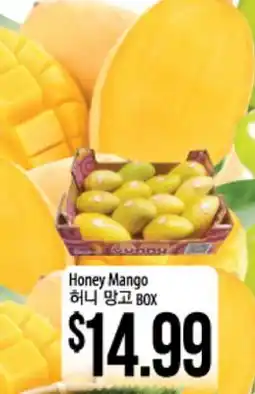 Hmart Honey Mango offer