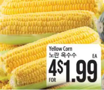 Hmart Yellow Corn offer