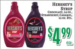 Trade Fair Supermarket Hershey's Syrup offer