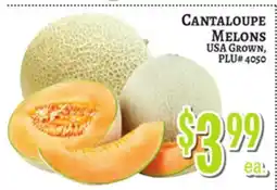 Trade Fair Supermarket CANTALOUPE MELONS offer