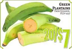 Trade Fair Supermarket GREEN PLANTAINS offer