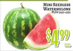 Trade Fair Supermarket MINI SEEDLESS WATERMELONS offer