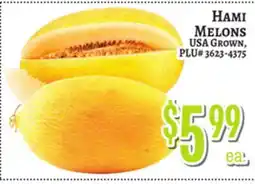 Trade Fair Supermarket HAMM MELONS offer