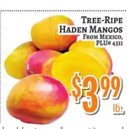 Trade Fair Supermarket TREE-RIPED HADEN MANGOS offer
