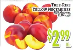 Trade Fair Supermarket TREE-RIPE YELLOW NECTARINES offer