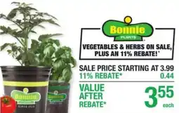 Menards Bonnie plants offer
