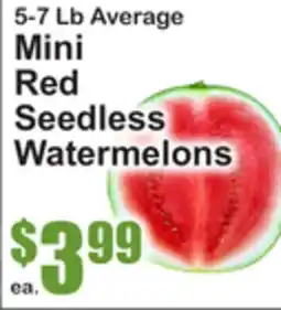 SuperFresh 5-7 Lb Average Mini Red Seedless Watermelons offer