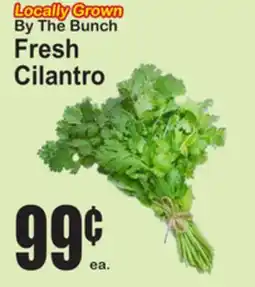 SuperFresh Fresh Cilantro offer