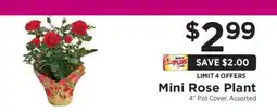 ShopRite Mini Rose Plant offer