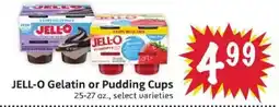 Foodmaxx JELL-O Gelatin or Pudding Cups offer