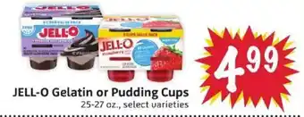 JELL-O Gelatin or Pudding Cups