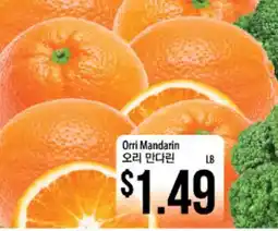 Hmart Orri Mandarin offer