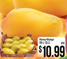 Hmart Honey Mango offer