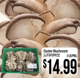Hmart Oyster Mushroom offer