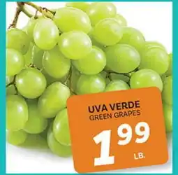 El Paso Grande UVA VERDE offer