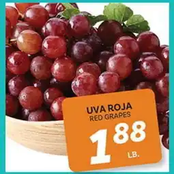 El Paso Grande UVA ROJA offer