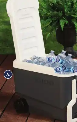Family Dollar Igloo Wheeled Cooler offer
