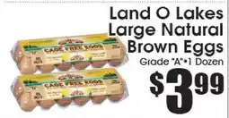 Supremo Foods Inc Land O Lakes Large Natural Brown Eggs offer